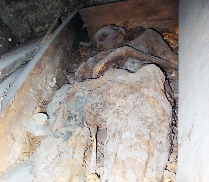 1371136985_mummiise